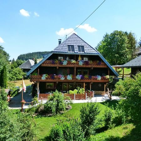 Ferienwohnungen Panoramablick Bernau im Schwarzwald Exterior photo