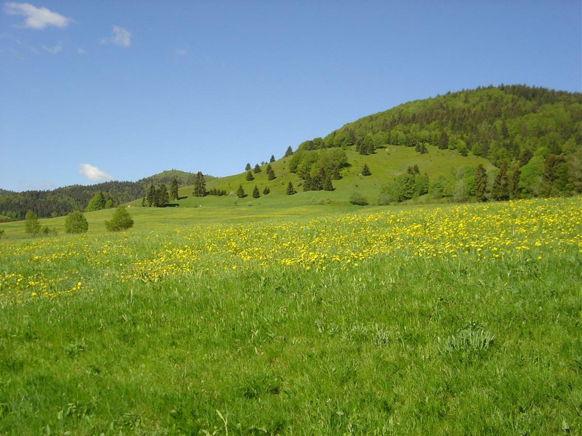 Ferienwohnungen Panoramablick Bernau im Schwarzwald Exterior photo